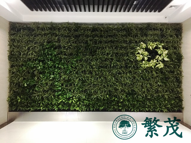 昆山某企業立體植物墻案例